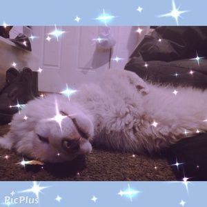 Meet your Posher, Judith hanso